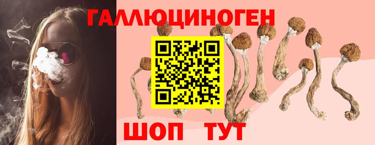 Псилоцибиновые грибы Magic Shrooms  Галлюциногенные грибы MAGIC MUSHROOMS  Лыткарино  Вход с VPN 